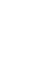Italian-Albanian Programme